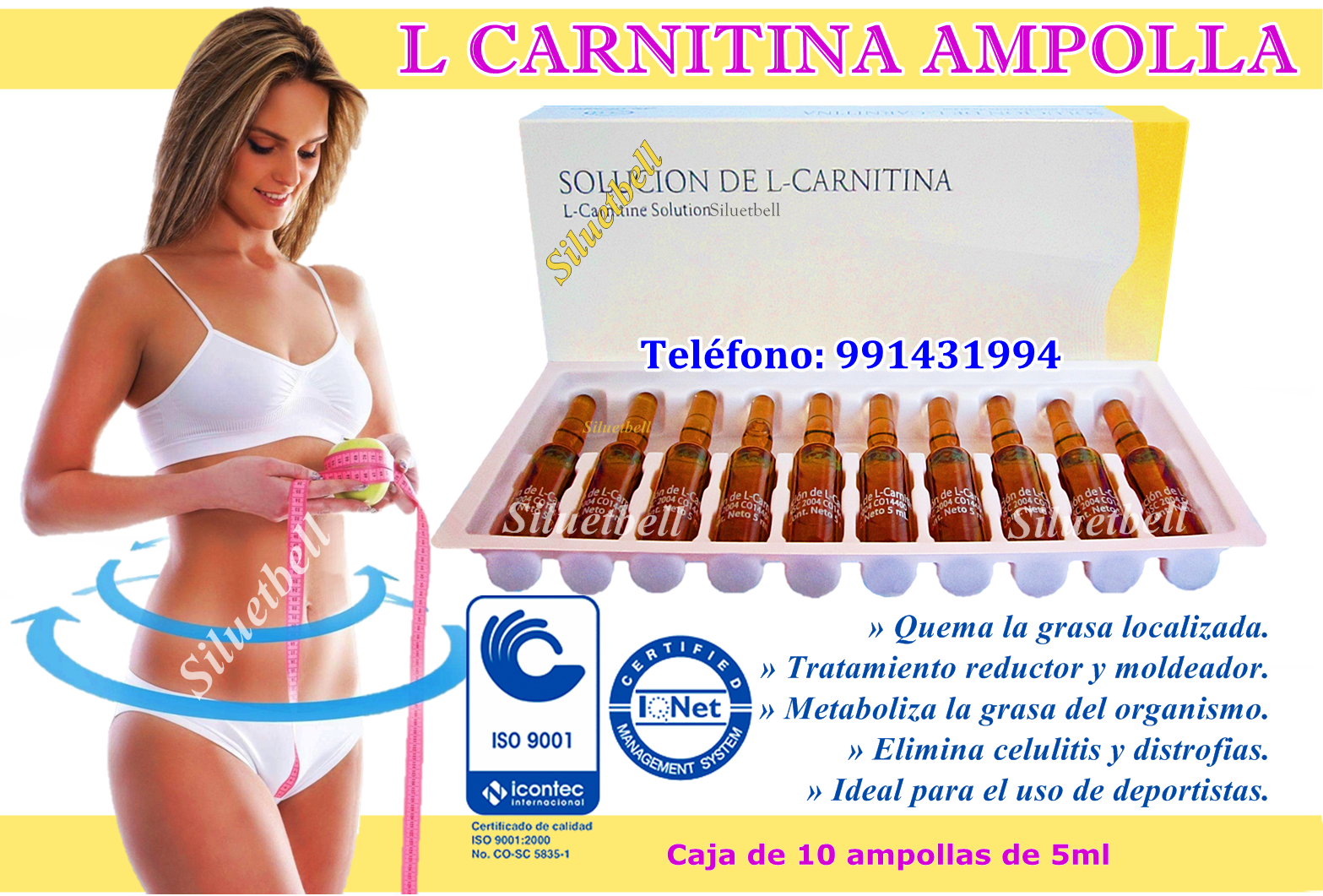 L CARNITINA AMPOLLAS ARMESSO 